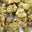 aamvshop.com favicon