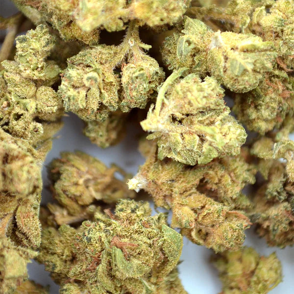 Amnesia CBD